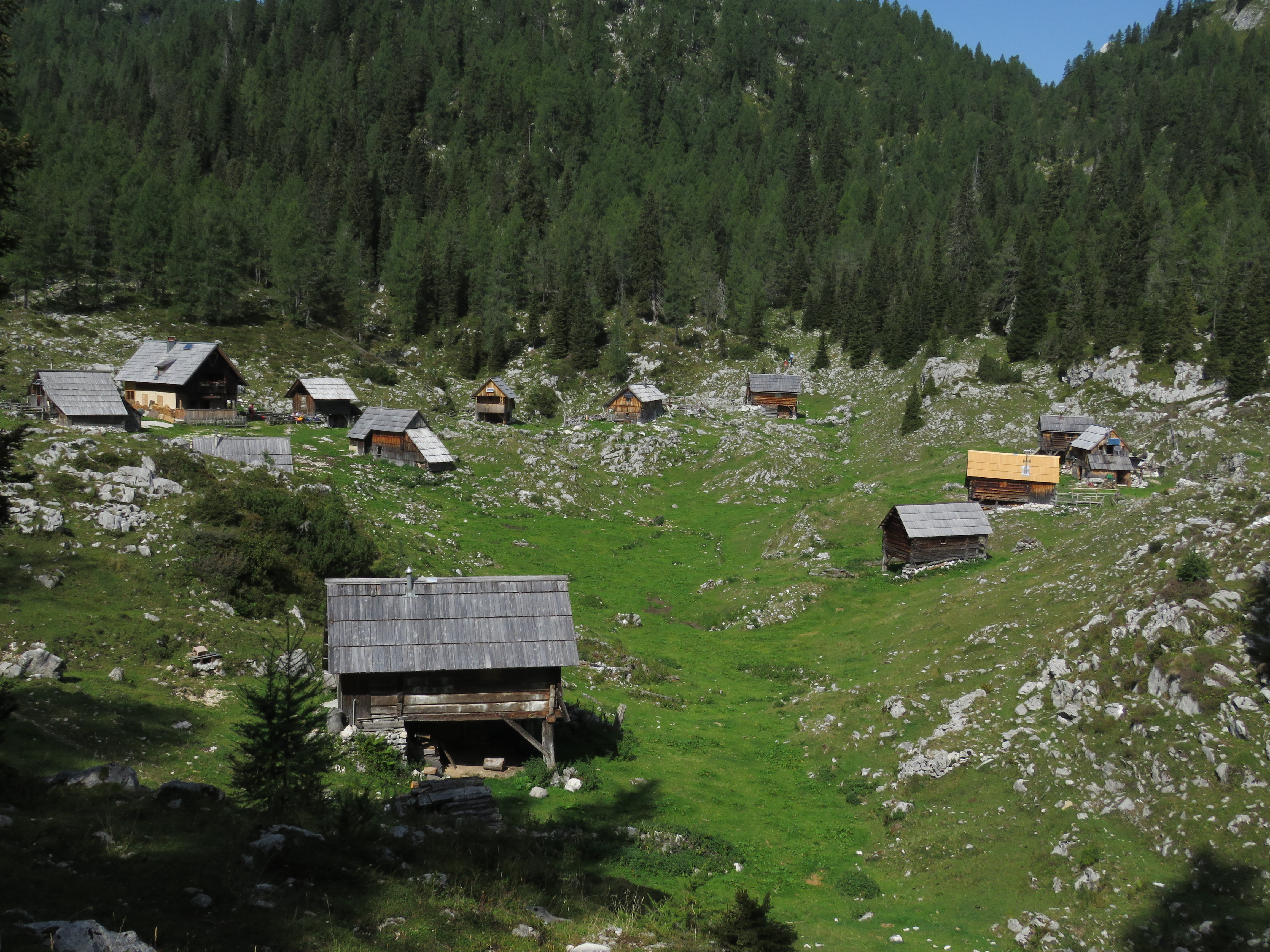 dedno_polje