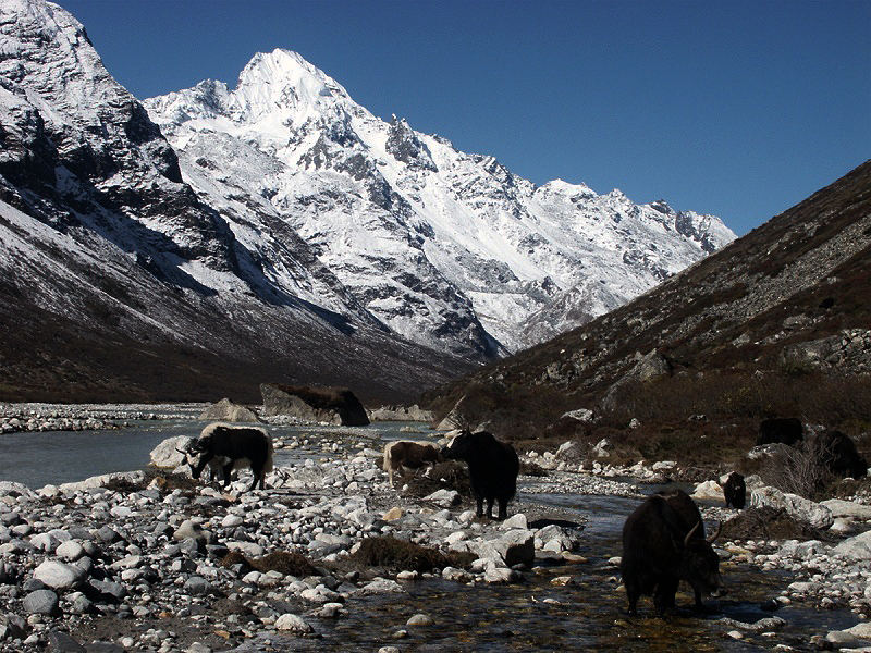 trekking_74_langtang