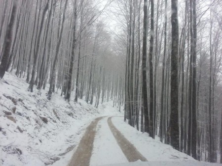 Izpopolnjevanje vodnikov PZS - Čaven 2015