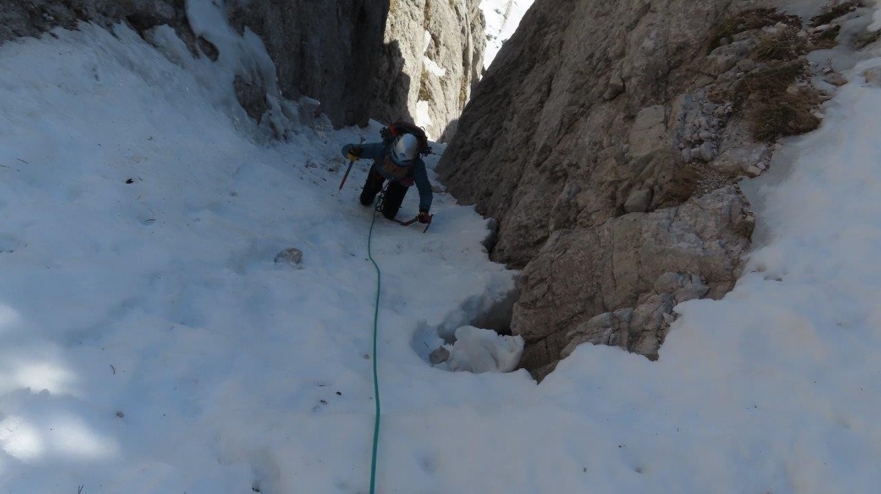 Grapa Angelce Ocepek NŠG