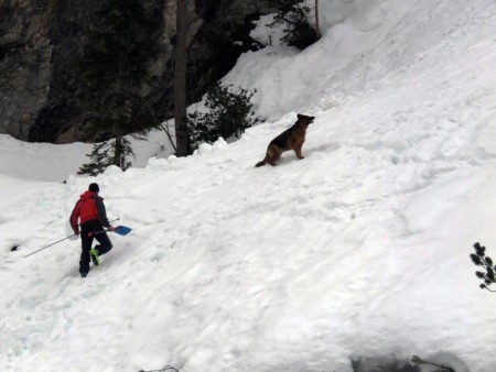 Izpit vodnikov reševalnih psov GRZS - Planica 2018