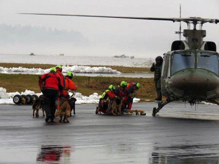 Usposabljanje vodnikov reševalnih psov GRZS - helikopter