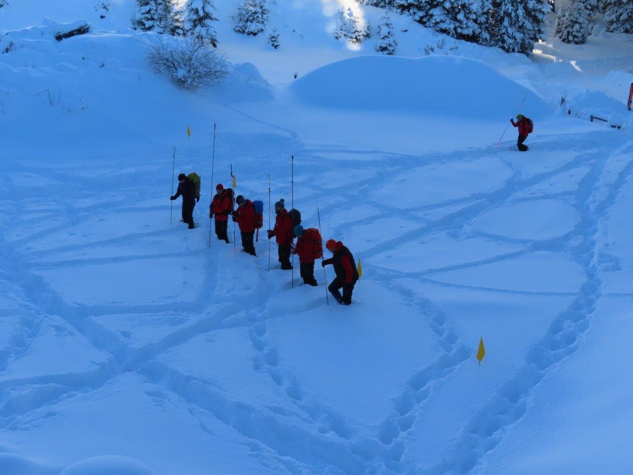 Dnevi varstva pred snežnimi plazovi - Pokljuka 2019